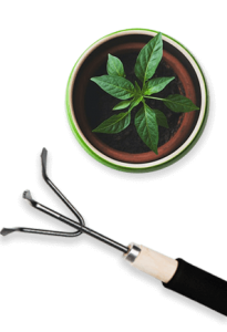 potted plant and gardening tool 1 205x300.png